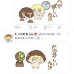 レス1番の画像サムネイル