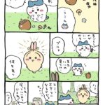 レス2番のサムネイル画像