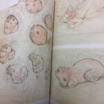 レス1番のサムネイル画像