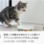 レス1番のサムネイル画像