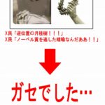 レス2番のサムネイル画像