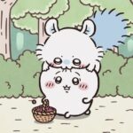 レス15番の画像1