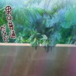 レス13番の画像7