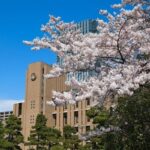 レス13番の画像1