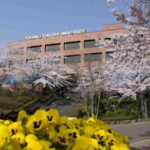 レス26番の画像3