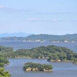 レス5番の画像1