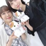 レス1番の画像2