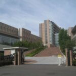 レス26番の画像4