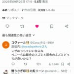 レス6番の画像1