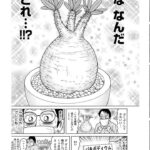 レス2番の画像2