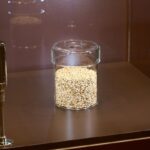 レス2番の画像2