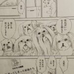 レス2番の画像1