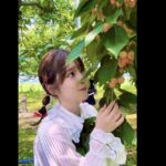 レス6番の画像1