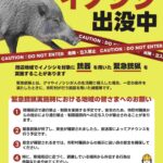 レス5番の画像1