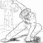 レス26番の画像3