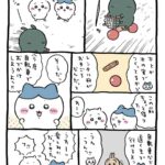 レス3番の画像1