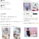 レス1番の画像2