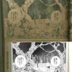 レス3番の画像1