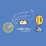 レス2番の画像3