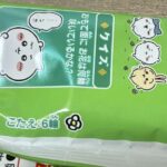 レス28番の画像1