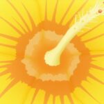 レス11番の画像5