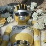 レス33番の画像1