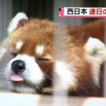 レス10番の画像1