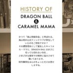 レス2番の画像5