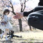 レス21番の画像1