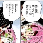レス49番の画像1
