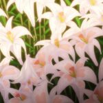 レス22番の画像12