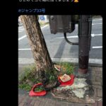 レス1番の画像4