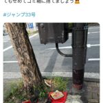 レス1番の画像5
