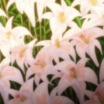 レス22番の画像11