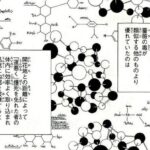 レス1番の画像10