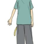 レス24番の画像1