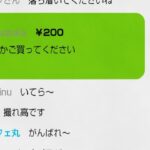 レス14番の画像3