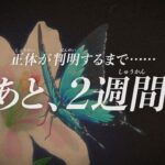 レス22番の画像7