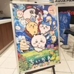 レス1番のリンク先のサムネイル画像