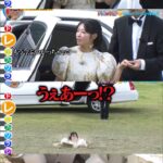 レス2番の画像2