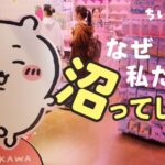 レス2番のリンク先のサムネイル画像