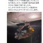 レス1番の画像1